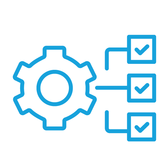 Step 6 Image: Controlled execution and reporting